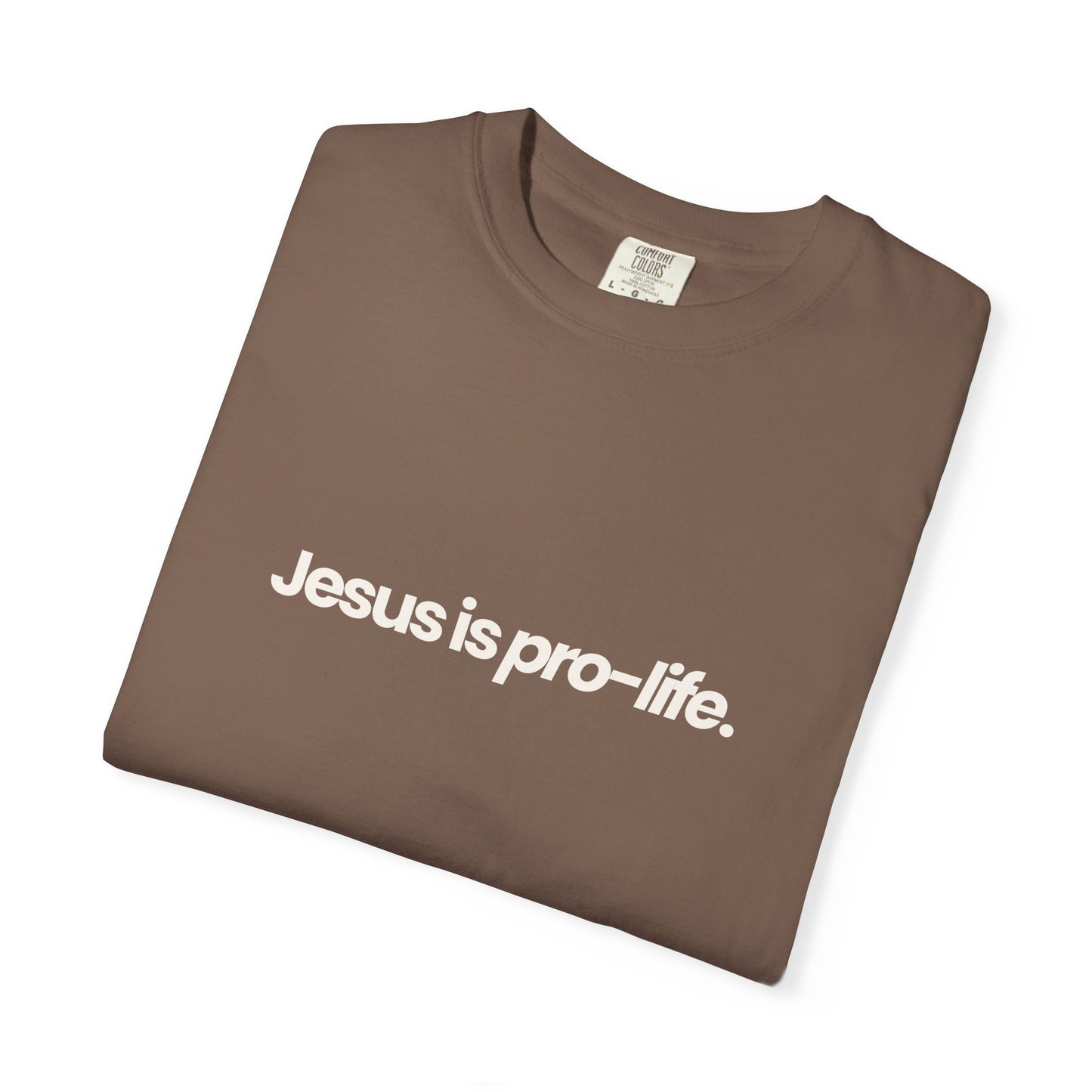 Jesus is Pro-Life Shirt