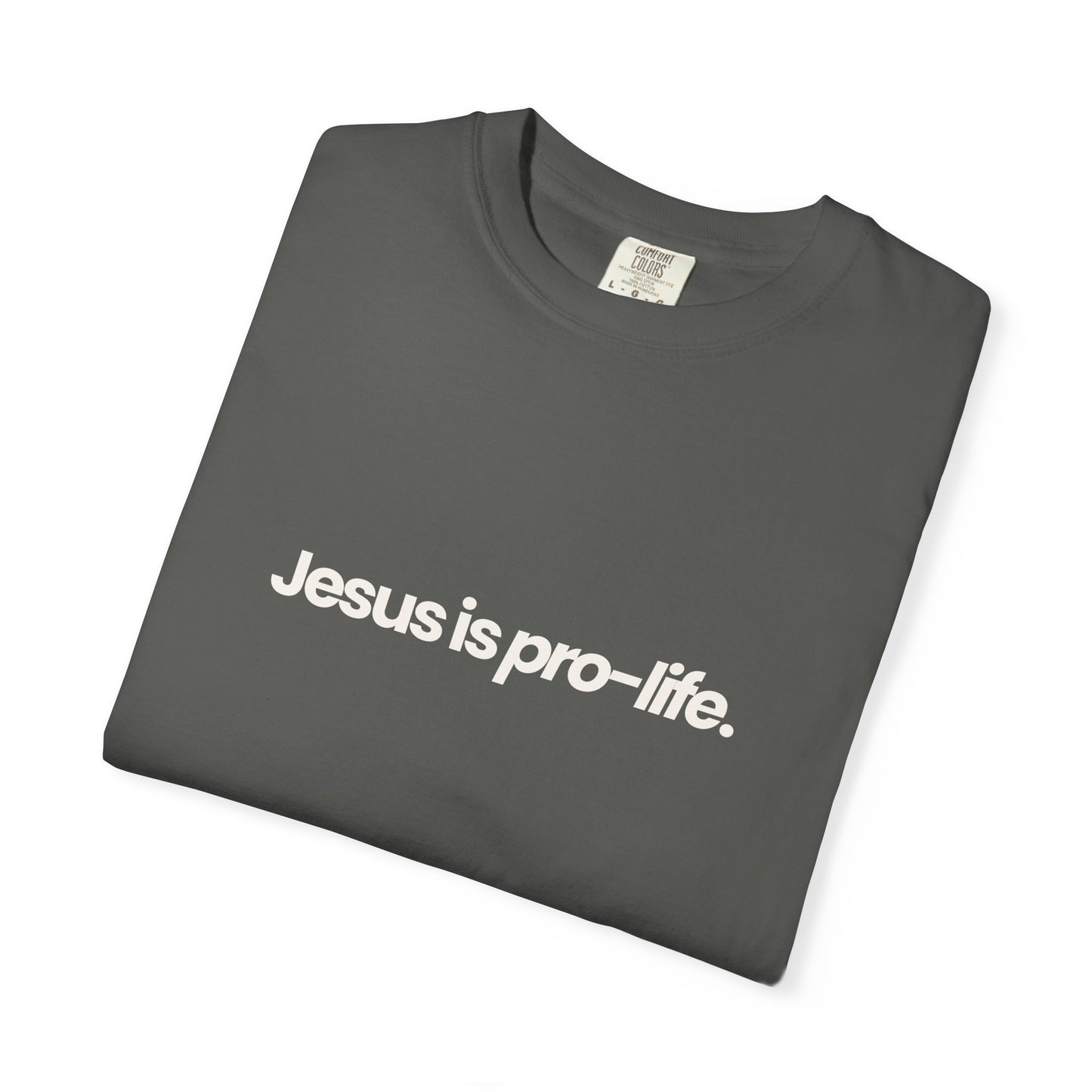 Jesus is Pro-Life Shirt
