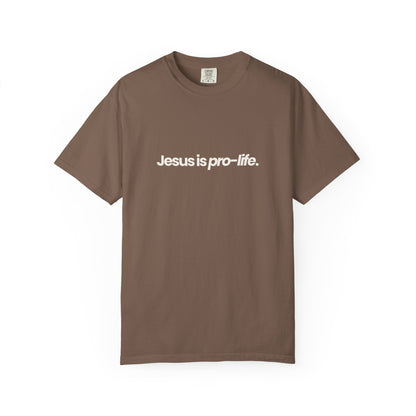 Jesus is Pro-Life Shirt
