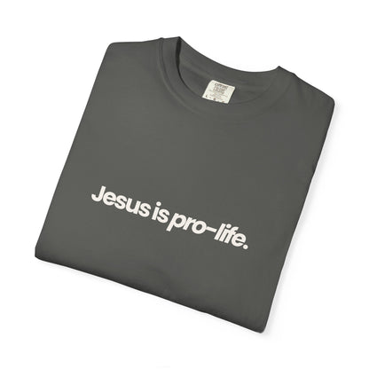 Jesus is Pro-Life Shirt