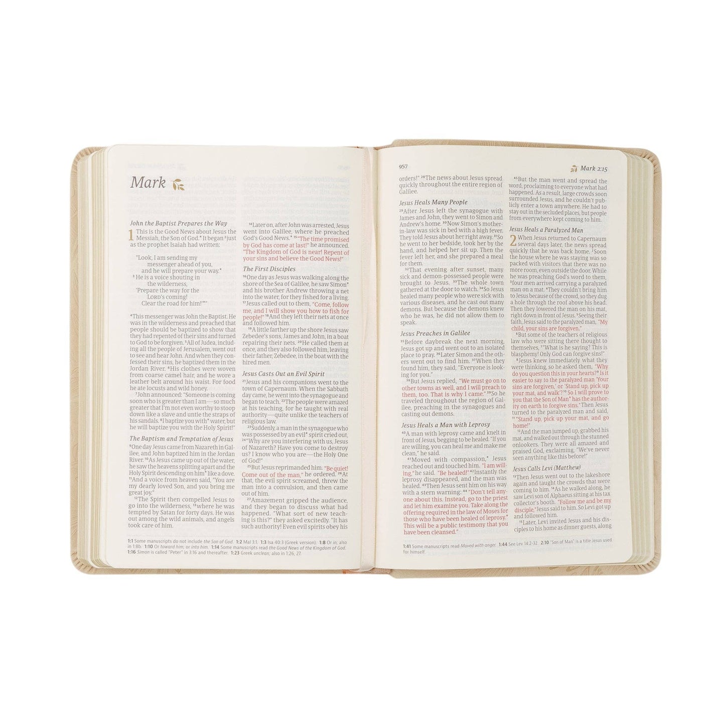 Sonora NLT Compact Bible